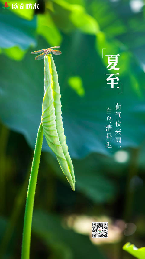 立夏歐奇