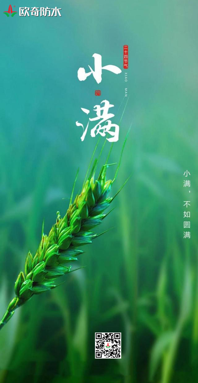 小滿歐奇