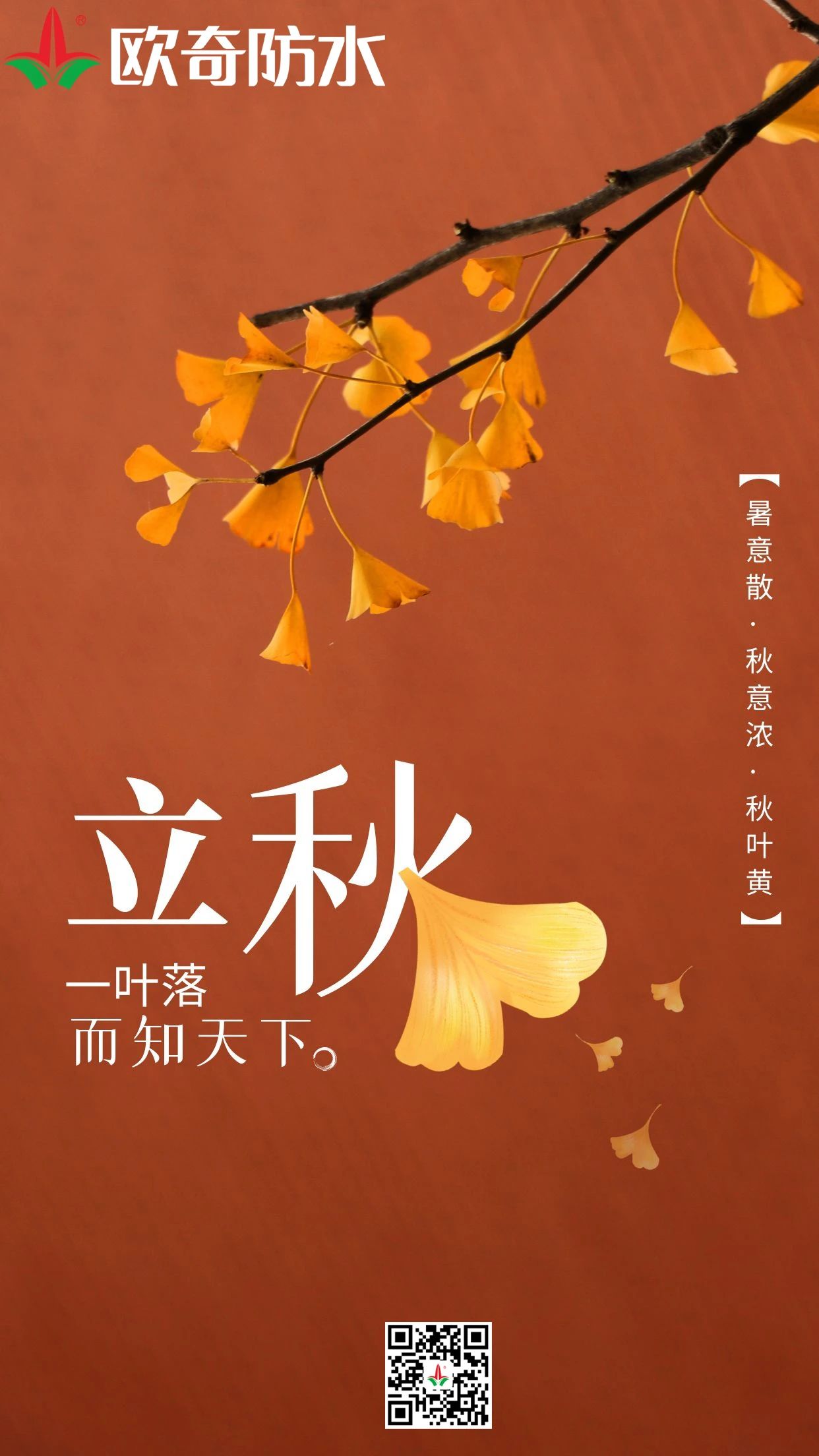 立秋歐奇