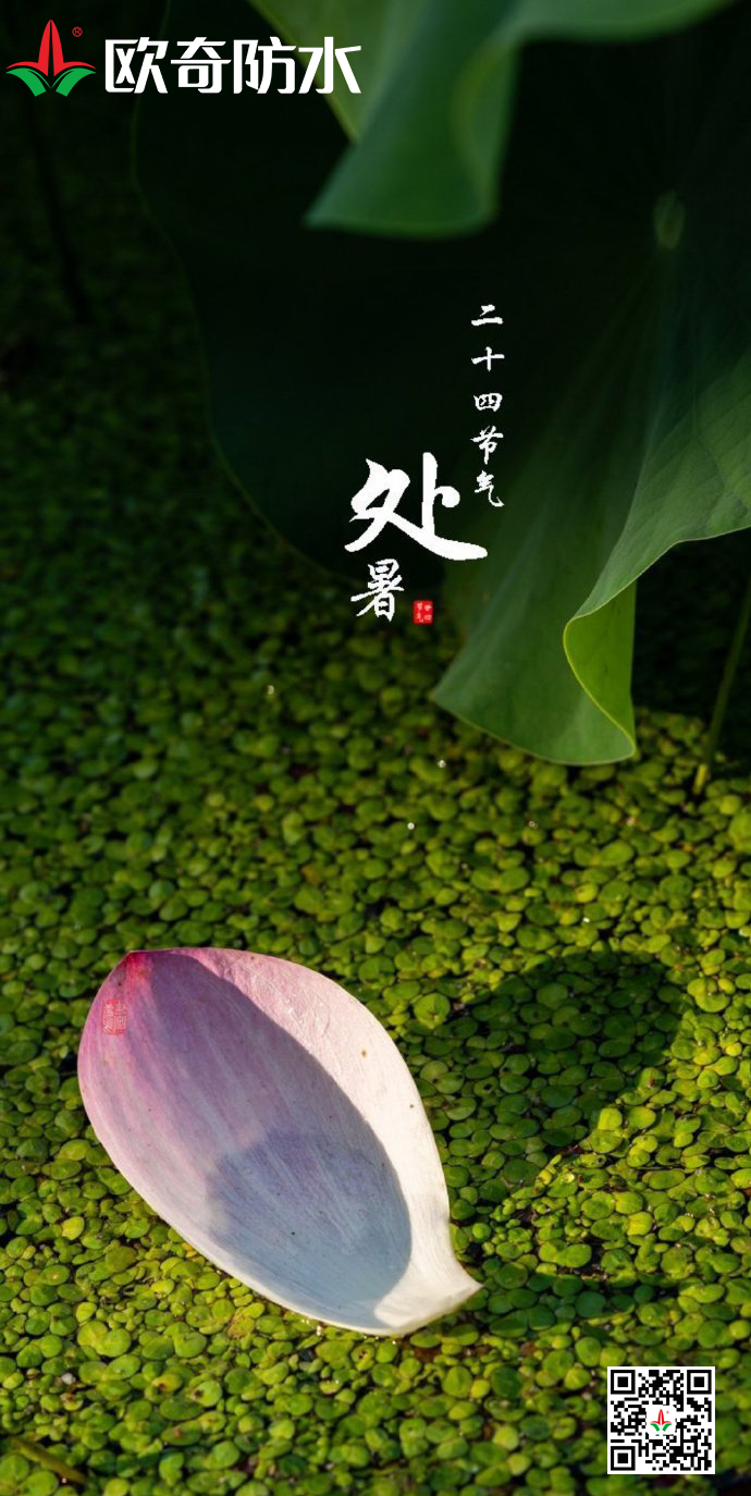 歐奇處暑