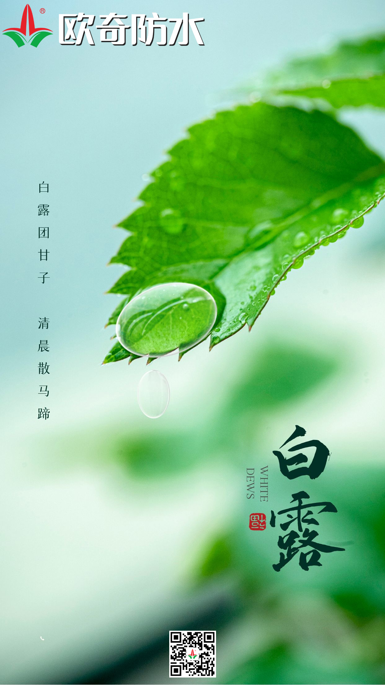 白露歐奇