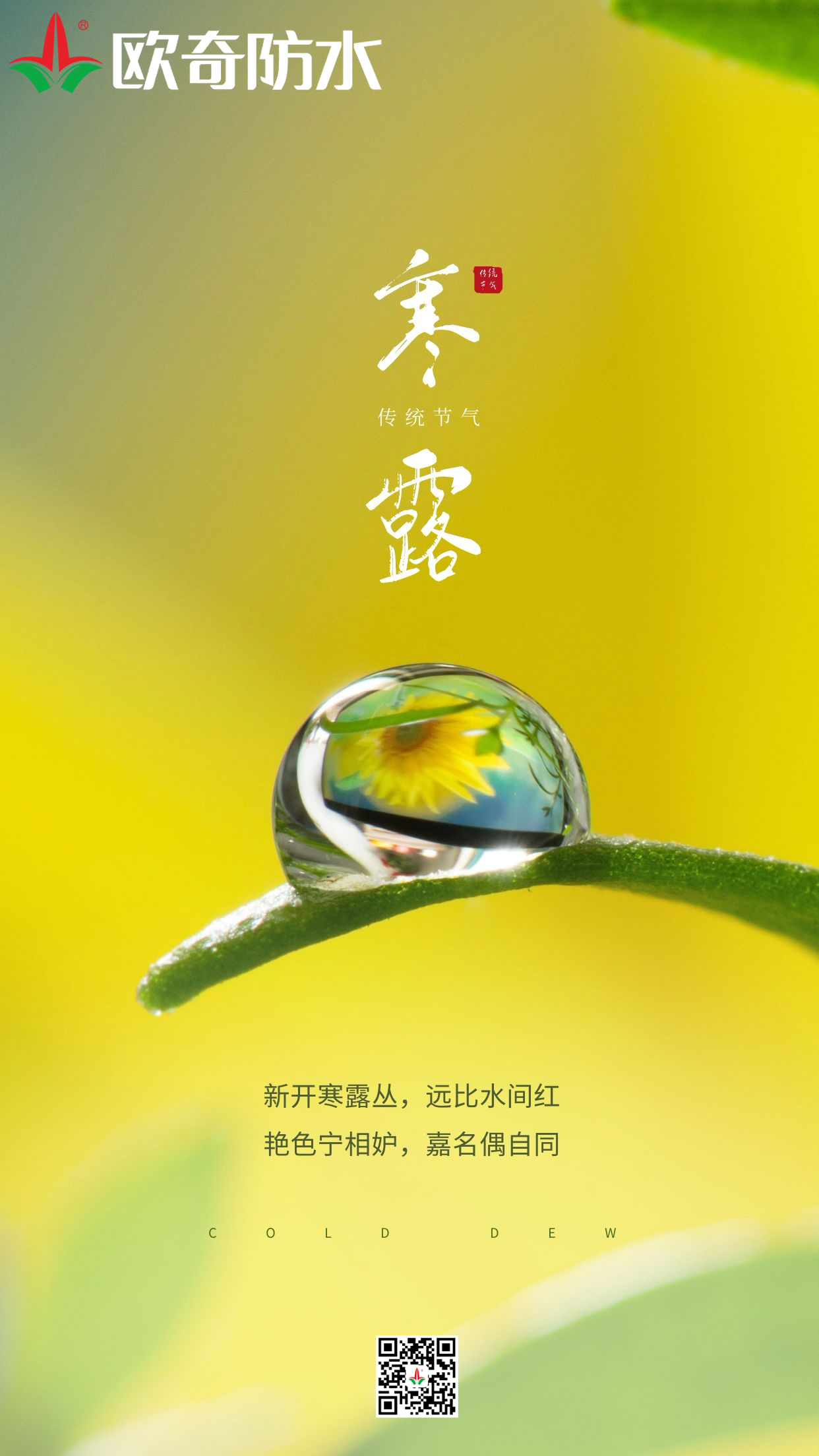 寒露歐奇