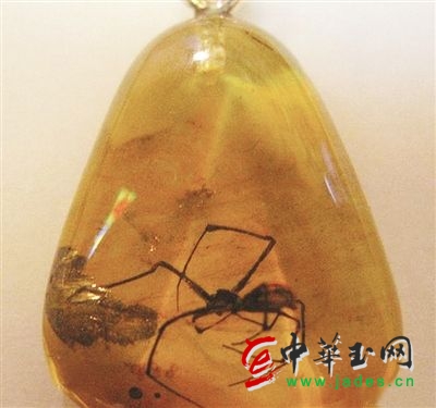 蟲珀